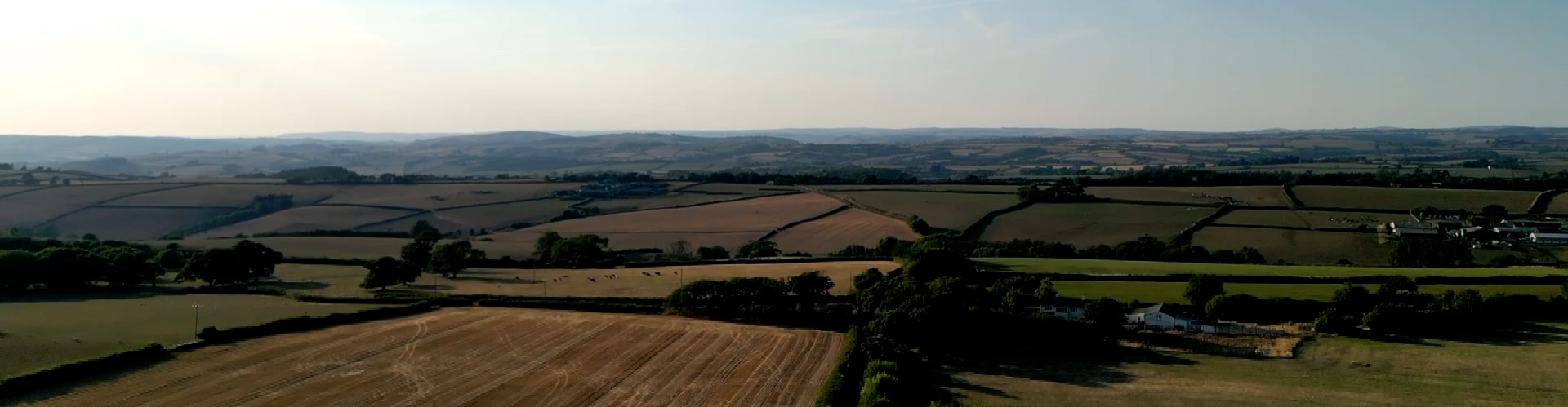 Dartington Crystal Environment